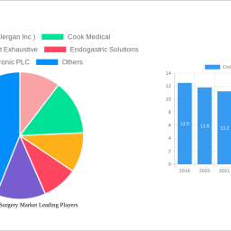 chile-bariatric-surgery-market-260-cagr-growth-outlook-2024-2032