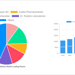 proton-pump-inhibitors-market-2024-2032-overview-trends-competitor-dynamics-and-opportunities