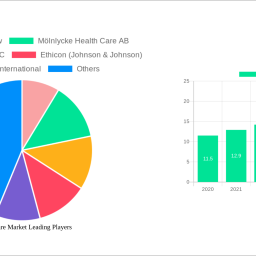 wound-care-market-2024-2032-overview-trends-competitor-dynamics-and-opportunities