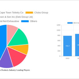 mea-hand-hygiene-products-industry-future-proof-strategies-trends-competitor-dynamics-and-opportunities-2024-2032