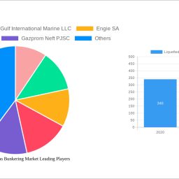 liquefied-natural-gas-bunkering-market-2024-to-grow-at-3020-cagr-with-126-million-market-size-analysis-and-forecasts-2032