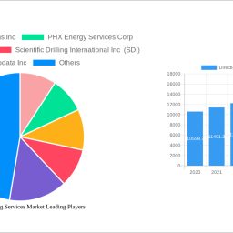directional-drilling-services-market-growth-opportunities-and-market-forecast-2024-2032-a-strategic-analysis