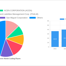 philippines-power-market-unlocking-growth-potential-2024-2032-analysis-and-forecasts