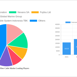 submarine-optical-fiber-cable-market-2024-2032-overview-trends-competitor-dynamics-and-opportunities