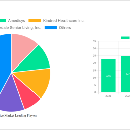 us-hospice-market-insightful-analysis-trends-competitor-dynamics-and-opportunities-2024-2032