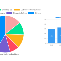 italy-plant-protein-market-insightful-analysis-trends-competitor-dynamics-and-opportunities-2024-2032