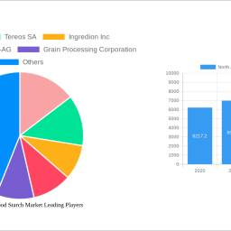 north-america-food-starch-market-growth-opportunities-and-market-forecast-2024-2032-a-strategic-analysis