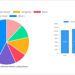 cabbages-and-other-brassicas-market-2024-2032-market-analysis-trends-dynamics-and-growth-opportunities