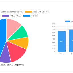 united-states-gelatin-market-navigating-dynamics-comprehensive-analysis-and-forecasts-2024-2032