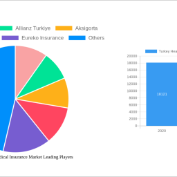 turkey-health-and-medical-insurance-market-strategic-insights-analysis-2024-and-forecasts-2032