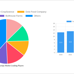 carrots-and-turnips-market-2024-2032-overview-trends-competitor-dynamics-and-opportunities