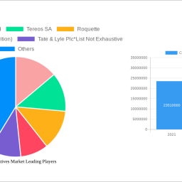 china-derivatives-market-to-grow-at-850-cagr-market-size-analysis-and-forecasts-2024-2032