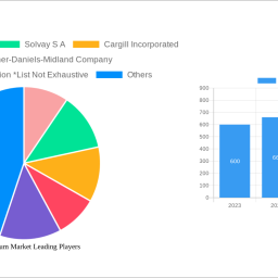 xanthan-gum-market-report-probes-the-75480-million-size-share-growth-report-and-future-analysis-by-2032