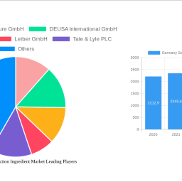 germany-sodium-reduction-ingredient-market-unlocking-growth-potential-analysis-and-forecasts-2024-2032