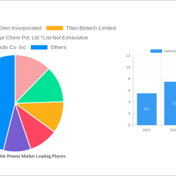 hydrolyzed-vegetable-protein-market-decade-long-trends-analysis-and-forecast-2024-2032