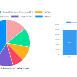 united-kingdom-milk-protein-market-analysis-2024-and-forecasts-2032-unveiling-growth-opportunities