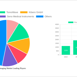photoacoustic-imaging-market-report-probes-the-9876-million-size-share-growth-report-and-future-analysis-by-2032