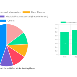 europe-hyaluronic-acid-based-dermal-fillers-market-strategic-insights-analysis-2024-and-forecasts-2032