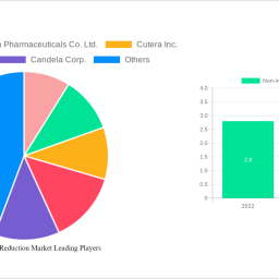 non-invasive-fat-reduction-market-2024-2032-analysis-trends-competitor-dynamics-and-growth-opportunities