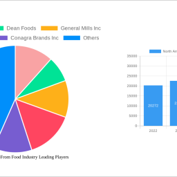 north-america-free-from-food-industry-insightful-analysis-trends-competitor-dynamics-and-opportunities-2024-2032