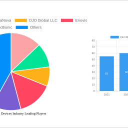 pain-management-devices-industry-navigating-dynamics-comprehensive-analysis-and-forecasts-2024-2032