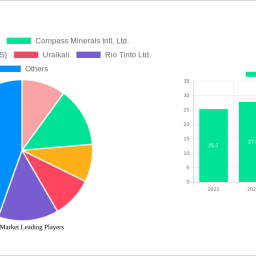 potash-market-strategic-insights-analysis-2024-and-forecasts-2032