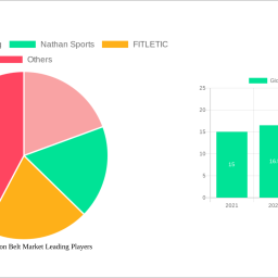 global-hydration-belt-market-2024-trends-and-forecasts-2032-analyzing-growth-opportunities