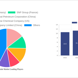 polyacrylamide-market-strategic-market-roadmap-analysis-and-forecasts-2024-2032