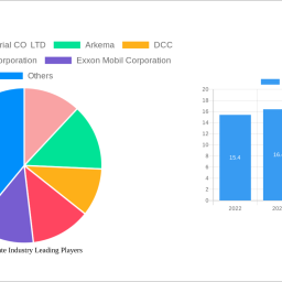 vinyl-acetate-industry-future-proof-strategies-trends-competitor-dynamics-and-opportunities-2024-2032