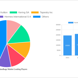 north-america-handbags-market-2024-2032-overview-trends-competitor-dynamics-and-opportunities