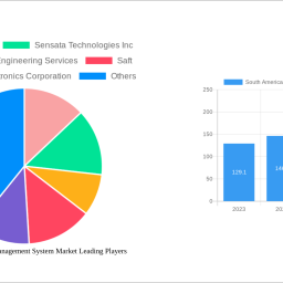south-america-battery-management-system-market-soars-to-xx-million-witnessing-a-cagr-of-321-321-during-the-forecast-perio