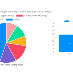 ammonium-nitrate-market-strategic-roadmap-analysis-and-forecasts-2024-2032