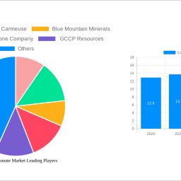 calcium-carbonate-market-2024-2032-trends-unveiling-growth-opportunities-and-competitor-dynamics