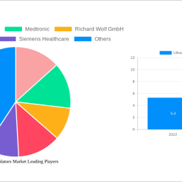 ultrasound-ablators-market-navigating-dynamics-comprehensive-analysis-and-forecasts-2024-2032