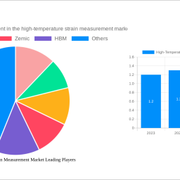 high-temperature-strain-measurement-market-navigating-dynamics-comprehensive-analysis-and-forecasts-2024-2032