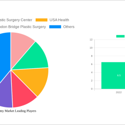 rhytidectomy-market-analysis-2024-and-forecasts-2032-unveiling-growth-opportunities