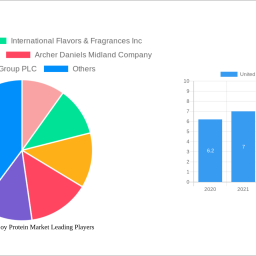 united-kingdom-soy-protein-market-2024-2032-overview-trends-dynamics-and-growth-opportunities