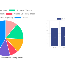 sodium-starch-glycolate-market-strategic-roadmap-analysis-and-forecasts-2024-2032