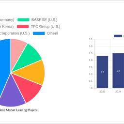 polyisobutylene-market-navigating-dynamics-comprehensive-analysis-and-forecasts-2024-2032