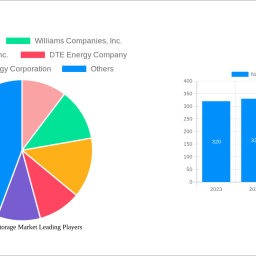 natural-gas-storage-market-soars-to-xx-gwh-witnessing-a-cagr-of-491-during-the-forecast-period-2024-2032