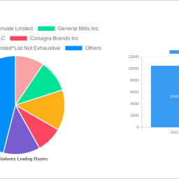 ketchup-industry-future-proof-strategies-trends-competitor-dynamics-and-opportunities-2024-2032