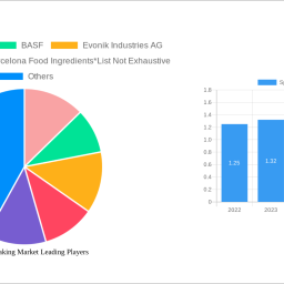 spain-anti-caking-market-analysis-2024-and-forecasts-2032-unveiling-growth-opportunities