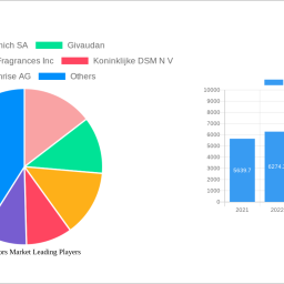 meat-flavors-market-strategic-insights-analysis-2024-and-forecasts-2032