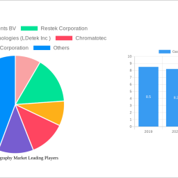 gas-chromatography-market-strategic-roadmap-analysis-and-forecasts-2024-2032