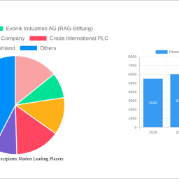 pharmaceutical-excipients-market-2024-2032-analysis-trends-competitor-dynamics-and-growth-opportunities