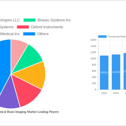 functional-near-infrared-optical-brain-imaging-market-navigating-dynamics-comprehensive-analysis-and-forecasts-2024-2032