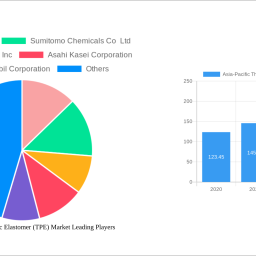 asia-pacific-thermoplastic-elastomer-tpe-market-unlocking-growth-opportunities-analysis-and-forecast-2024-2032