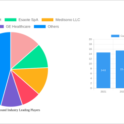 cardiac-ultrasound-industry-unlocking-growth-potential-analysis-and-forecasts-2024-2032