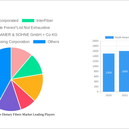 north-america-insoluble-dietary-fibers-market-2024-2032-overview-trends-dynamics-and-growth-opportunities