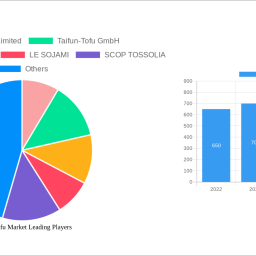 europe-tofu-market-insightful-analysis-trends-competitor-dynamics-and-opportunities-2024-2032